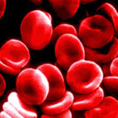 Timeline: The History of Blood