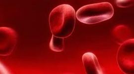 Timeline: History of Blood