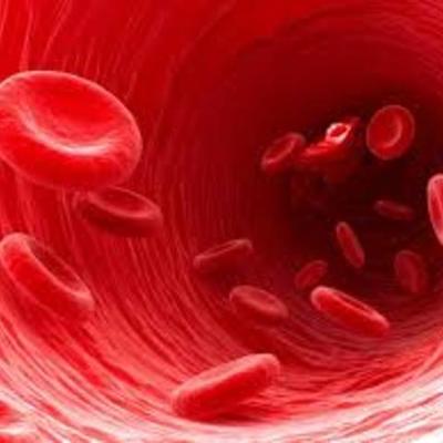 Timeline: History of Blood