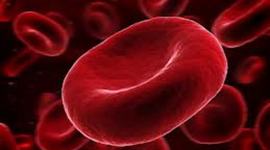 Timeline: history of blood