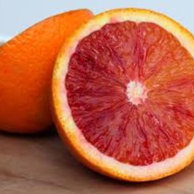 Timeline: Blood History, Yo