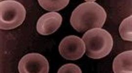 Timeline: History of Blood