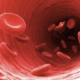 Blood