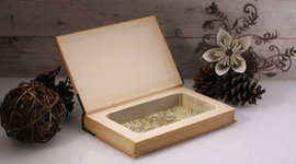 Timeline: The Tale Of Jonathan Swift