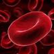 Blood