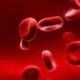 Blood