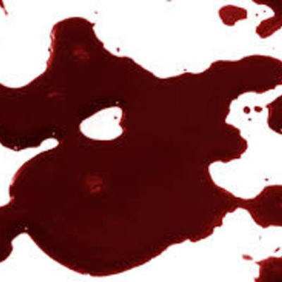 Timeline: Blood History