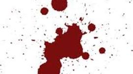 Timeline: Humans and History; the discovery of blood.