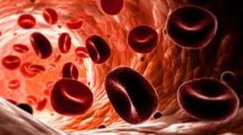 Timeline: The LIfe of Blood