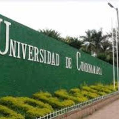 Timeline: LA TOLERANCIA