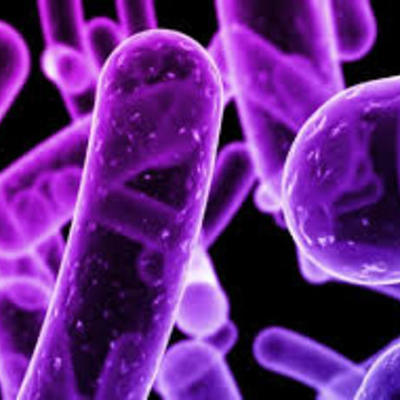 Timeline: HISTORIA DE LA MICROBIOLOGIA