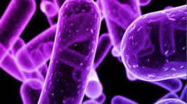 Timeline: HISTORIA DE LA MICROBIOLOGIA