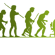 Evolucion android