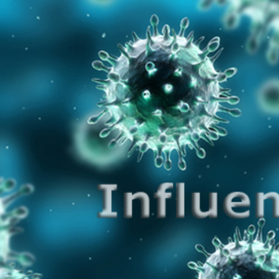 Timeline: 2014 Influenza - Historian