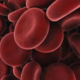 Bloodcover