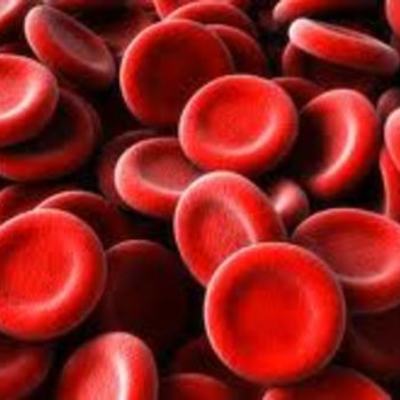 Timeline: History of Blood