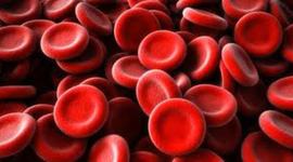 Timeline: History of Blood