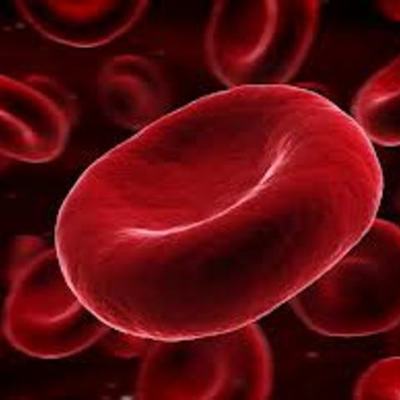 Timeline: The History Of Blood