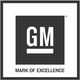 General motors logo 2