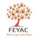 Logo feyac