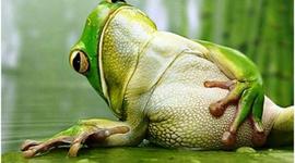 Timeline: mihi timeline