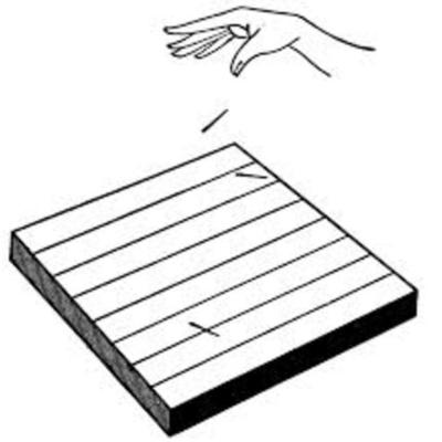 Timeline: Linea de tiempo simulacion