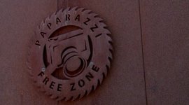 Timeline: Paparazzi Timeline