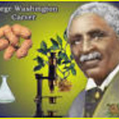 Timeline: The Life of George Washington Carver by:Tanner and Harper