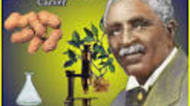 Timeline: The Life of George Washington Carver by:Tanner and Harper