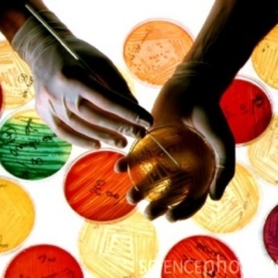 Timeline: Historia de la microbiologia