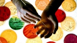 Timeline: Historia de la microbiologia