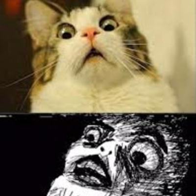 Timeline: Hall Civil war timeline