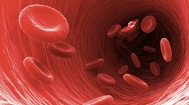 Timeline: Blood History