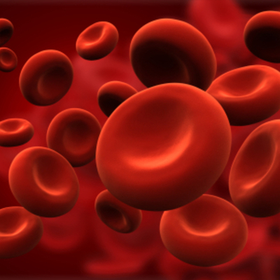 Timeline: Blood And It's History!