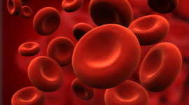 Timeline: Blood And It's History!