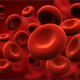 Blood