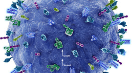 Timeline: Cell Discovery Theory