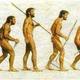 Evolucion