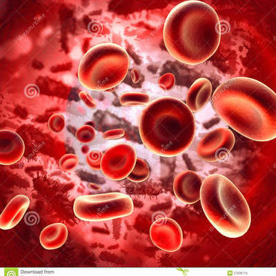 Timeline: Blood History Timeline