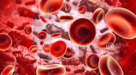 Timeline: Blood History Timeline