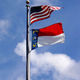 Nc us flag