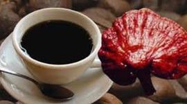 Timeline: CAFE ORGANICO MEDICINAL