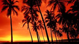 Timeline: History of Hawai'i