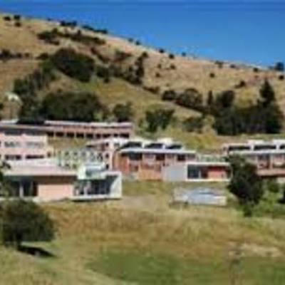 Timeline: mochuelo bajo