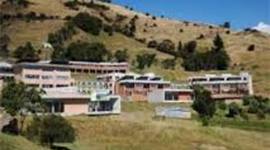 Timeline: mochuelo bajo