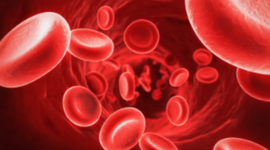 Timeline: The History of Blood