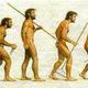 Caricatura evolucion humana