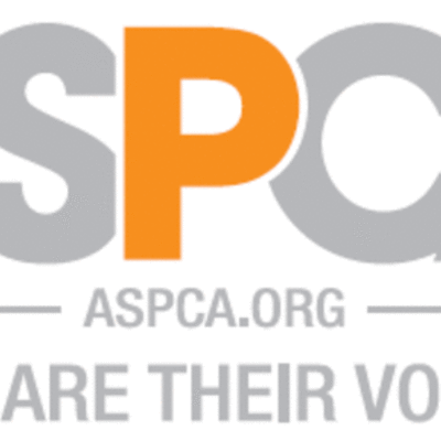 Timeline: History of the ASPCA