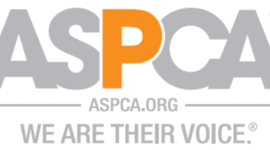 Timeline: History of the ASPCA