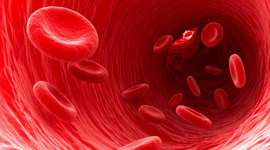 Timeline: History of Blood